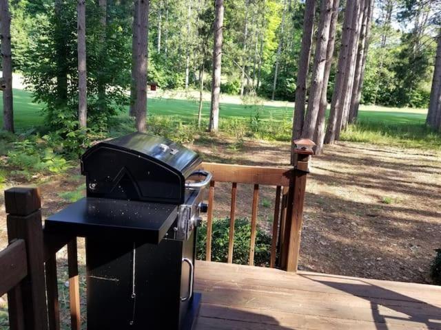 Crystal Mountain Cabin-Shuttle Pass Included! Thompsonville Εξωτερικό φωτογραφία