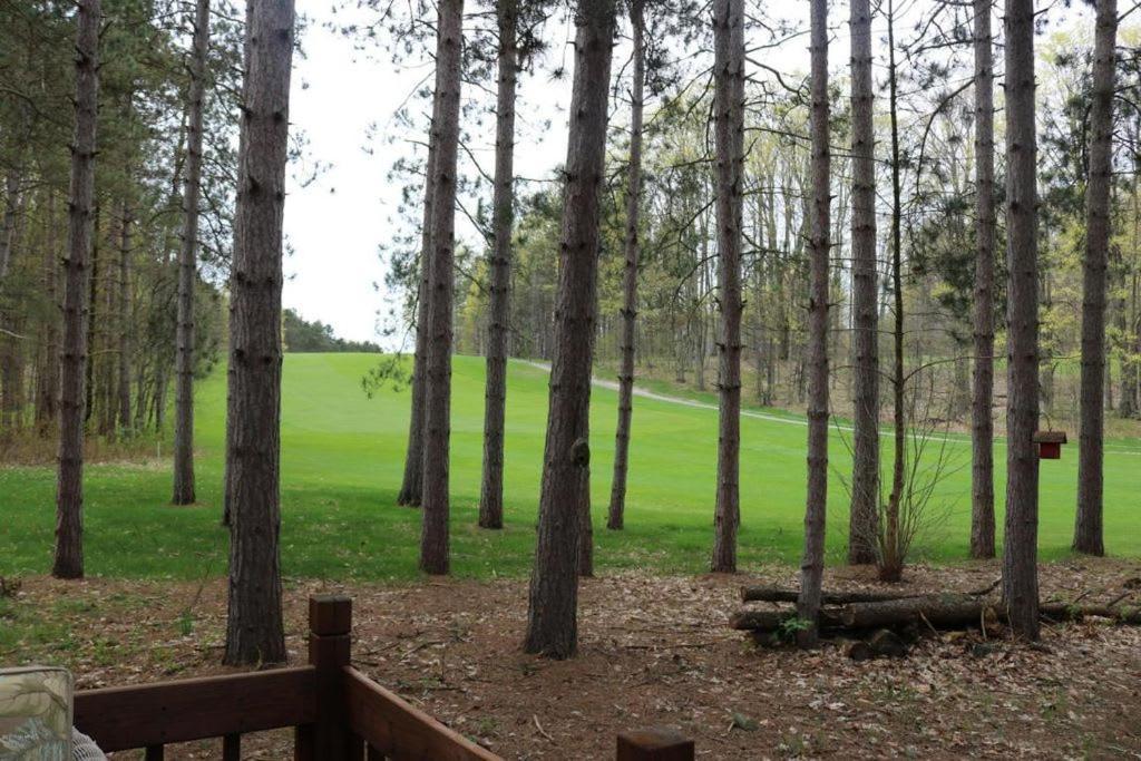 Crystal Mountain Cabin-Shuttle Pass Included! Thompsonville Εξωτερικό φωτογραφία